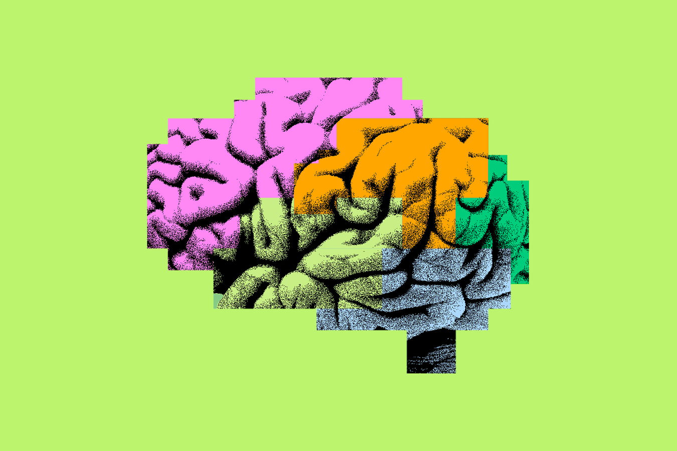 Illustration of a brain divided into sections, each shaded a different color.